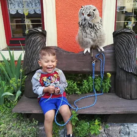 Semesterbostad 3 Eulen *