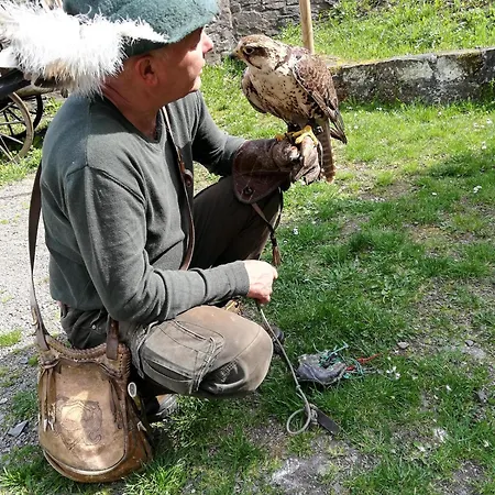 3 Eulen * Altenberg (Osterzgebirge)